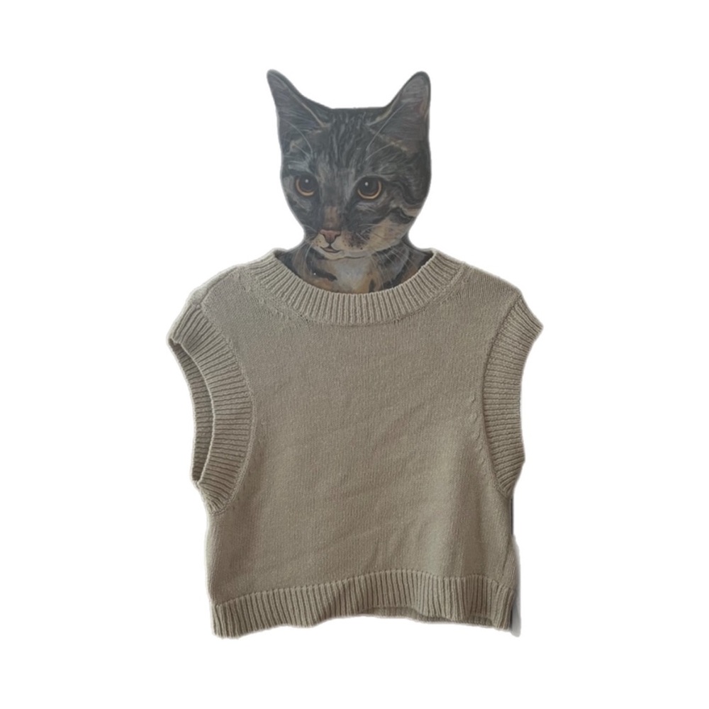 H&M Sweater Vest